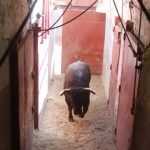 IMG_1276