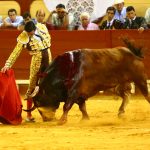 IMG_1910