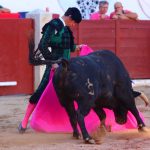 IMG_2634