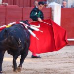 IMG_2678