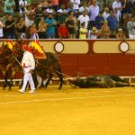 IMG_9962