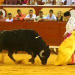 IMG_9965