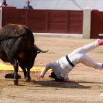 IMG_0473