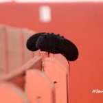 IMG_1443