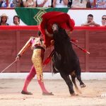 IMG_1625