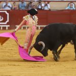 IMG_1154