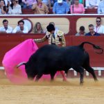 IMG_1174