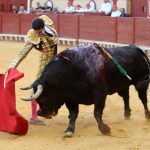 IMG_1240