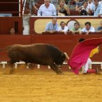IMG_1442