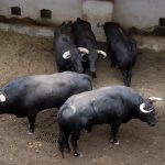 IMG_1503