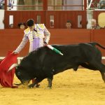 IMG_1516