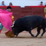 IMG_1631