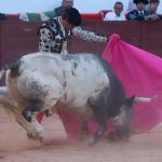 IMG_2026