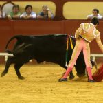 IMG_2260