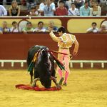 IMG_2377