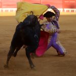 IMG_0282