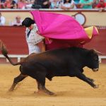 IMG_0791