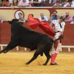 IMG_1227