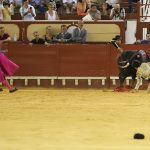 IMG_2524