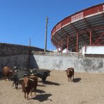 IMG_0031