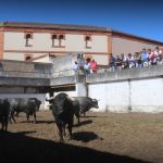 IMG_0140 IMG_0140