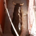 IMG_0325