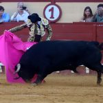 IMG_0524