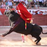 IMG_0669