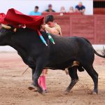 IMG_0825