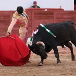 IMG_0936