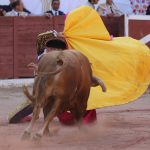 IMG_1200