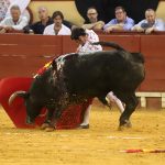 IMG_1371