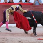 IMG_1628
