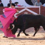 IMG_2529 IMG_2529