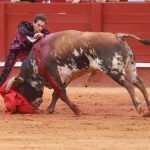 IMG_1174