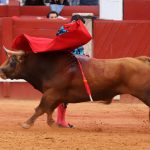 IMG_1404
