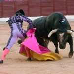 215A2246 215A2246