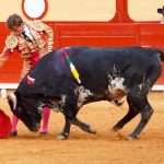 5cpractica28
