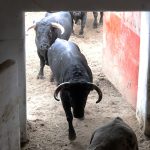 215A0240 215A0240